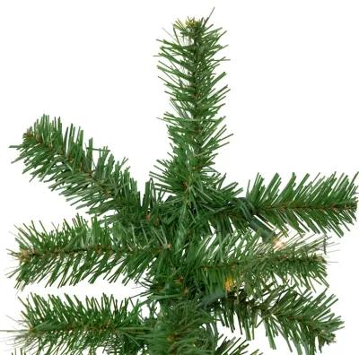 9' x 10" Pre-Lit Dorchester Pine Artificial Christmas Garland  Clear Lights