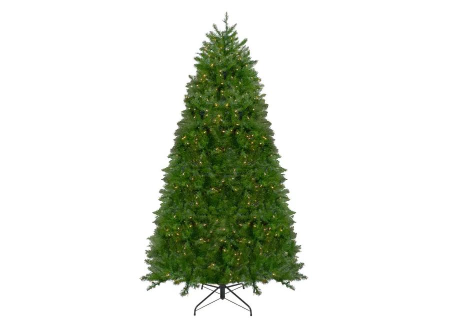 10' Pre-Lit Green Medium Northern Pine Artificial Christmas Tree - Clear Lights