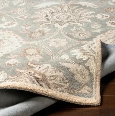 Caesar CAE-1192 12' x 18' Beige Rug