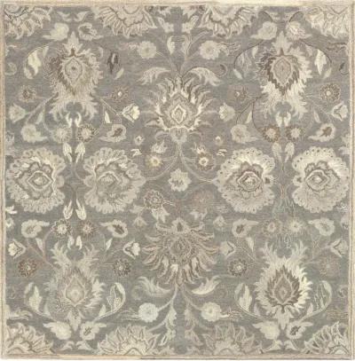 Caesar CAE-1192 12' x 18' Beige Rug