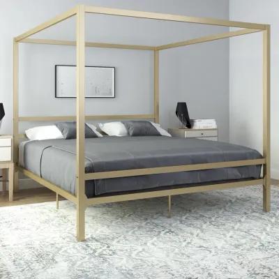 Modern Canopy Metal Bed, King, Gold