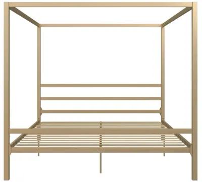 Modern Canopy Metal Bed, King, Gold