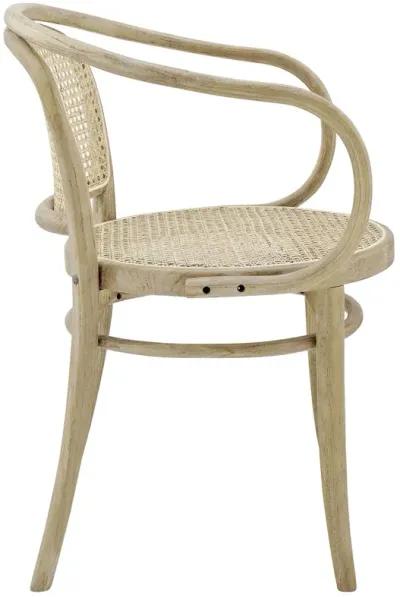 Oliana Wood Dining Armchair Set of 2