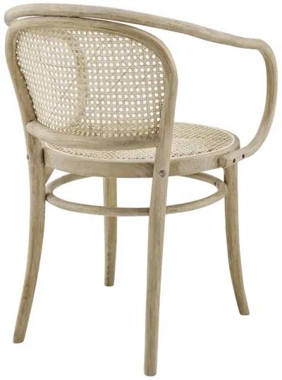 Oliana Wood Dining Armchair Set of 2