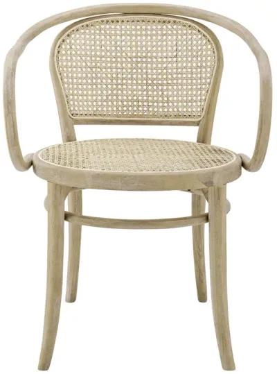 Oliana Wood Dining Armchair Set of 2