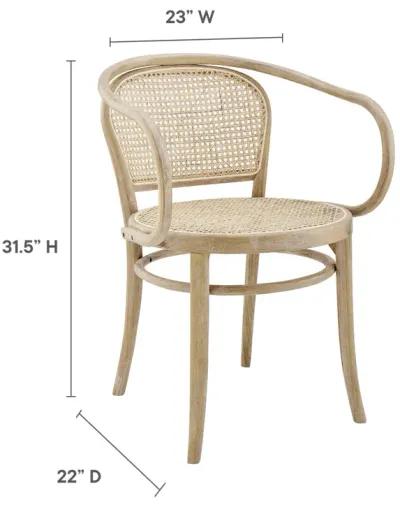 Oliana Wood Dining Armchair Set of 2