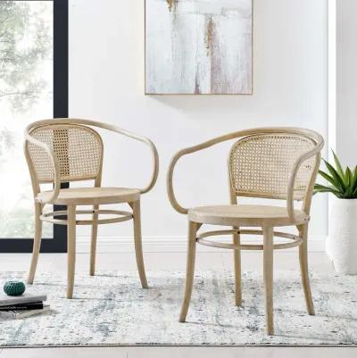 Oliana Wood Dining Armchair Set of 2