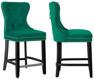 WestinTrends 24" Tufted Velvet Counter Stool (Set of 2)