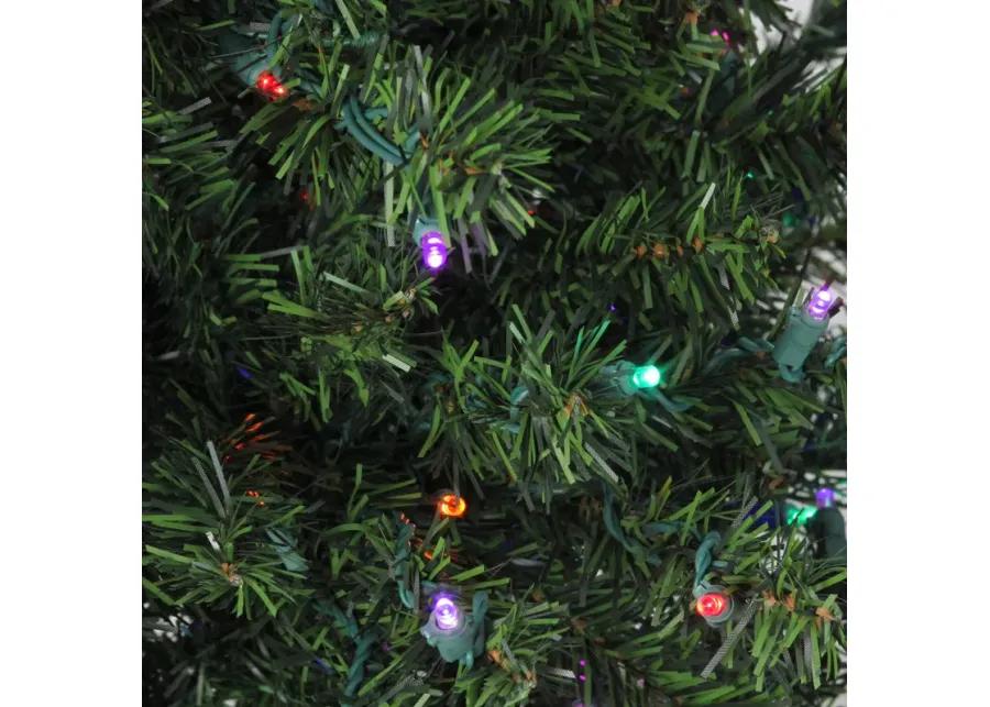 4' Pre-Lit Medium Canadian Pine Artificial Christmas Tree  Multicolor LED Lights