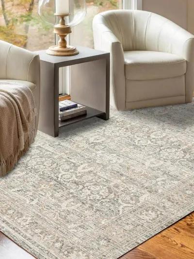 Regal RG1 Putty 3' x 5' Rug