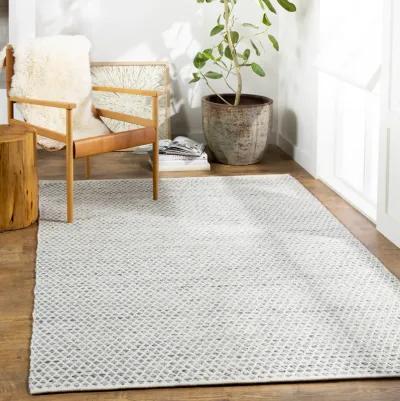 Azalea AZA-2306 8'10' x 12' Gray Rug