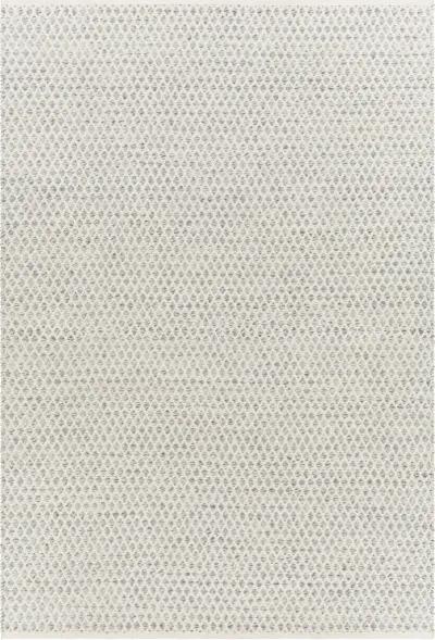 Azalea AZA-2306 8'10' x 12' Gray Rug