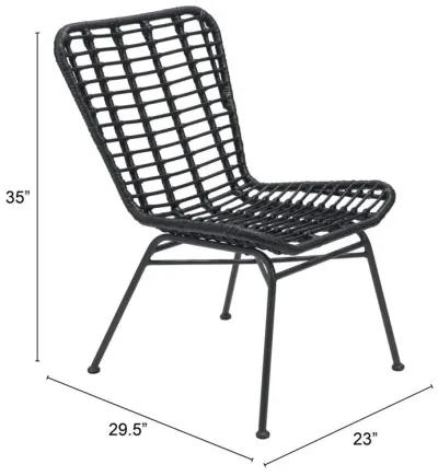 Belen Kox Dining Chair, Belen Kox