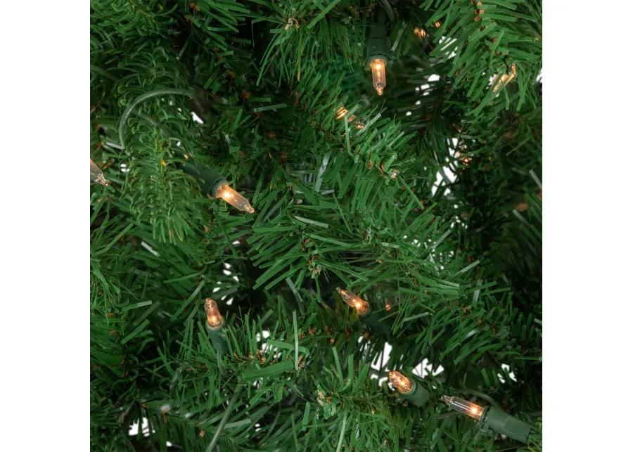 4' Pre-Lit Sierra Noble Fir Artificial Christmas Tree  Clear Lights