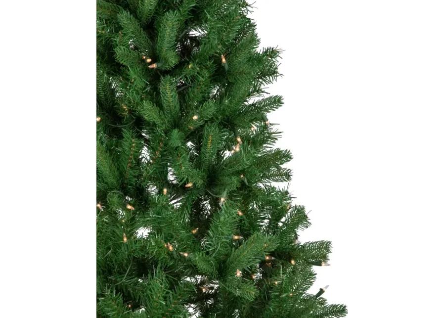 4' Pre-Lit Sierra Noble Fir Artificial Christmas Tree  Clear Lights