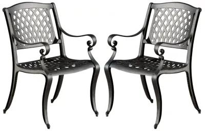 Cay Outdoor Dining Chair Set of 2, Mesh Style Back, Black Cast Aluminium