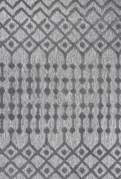 Peralta Moroccan Diamond Indoor/Outdoor Area Rug