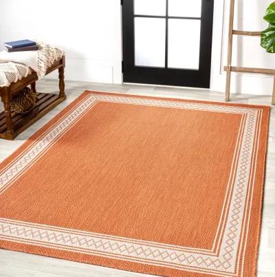 Lucia Classic Diamond Border Indoor/Outdoor Area Rug