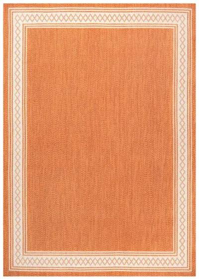 Lucia Classic Diamond Border Indoor/Outdoor Area Rug