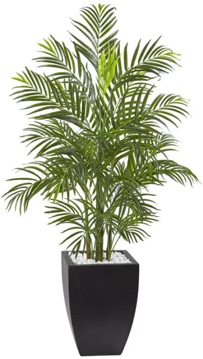 HomPlanti 4.5 Feet Areca Palm Tree with Black Wash Planter UV Resistant (Indoor/Outdoor)