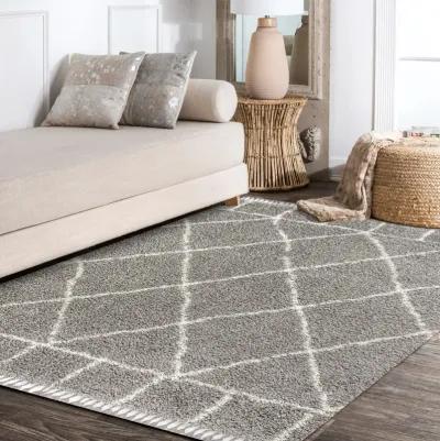 Mercer Shag Plush Tassel Moroccan Geometric Trellis Area Rug