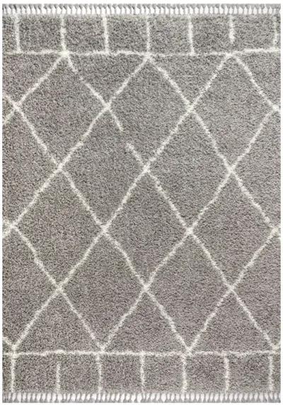 Mercer Shag Plush Tassel Moroccan Geometric Trellis Area Rug