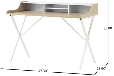 Modern Computer Desk with Storage and Durable Iron Legs