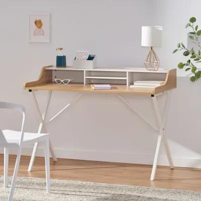 Modern Computer Desk with Storage and Durable Iron Legs