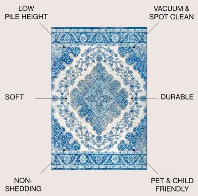 Bohemian Flair Boho Vintage Medallion Area Rug