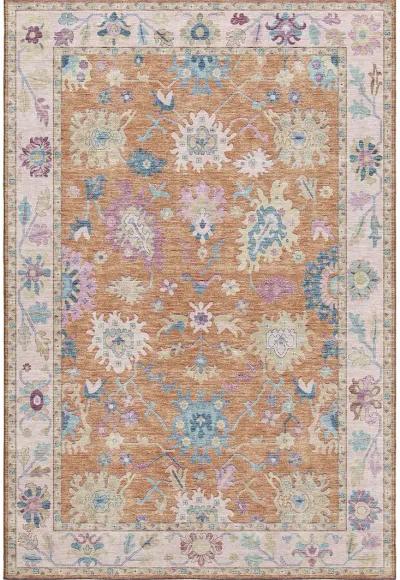 Hatay HY7 Orange 30" x 46" Rug