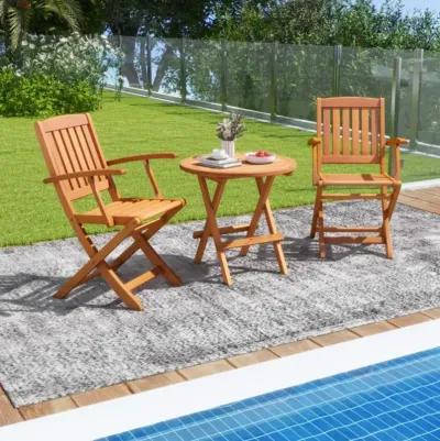 Hivvago Patio Wood Folding Chair Set of 2 with Armrests and Slatted Seat