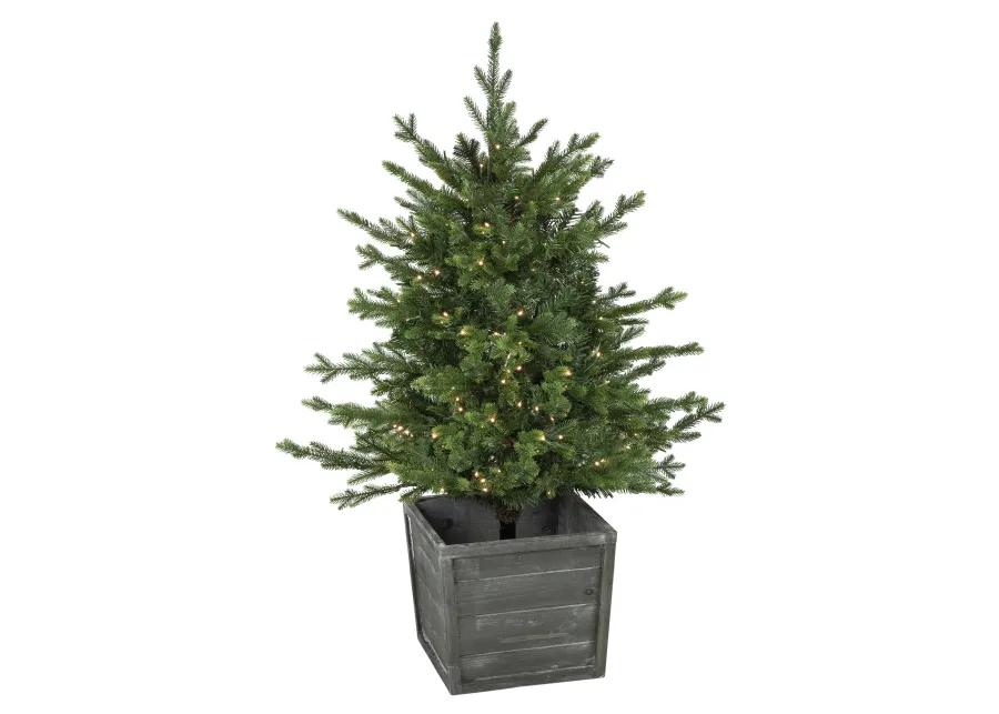 4' Pre-Lit Potted Deluxe Russian Pine Artificial Christmas Tree  Warm White LED Lights