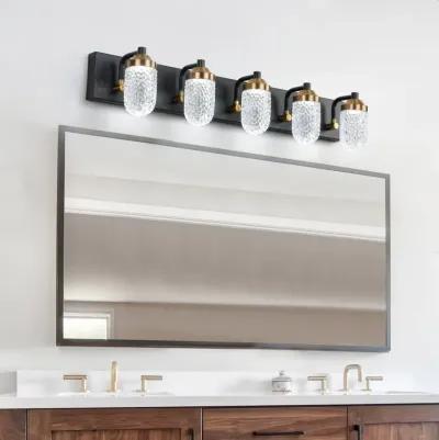 Vanity Lights With 5 LED Bulbs For Bathroom Lighting