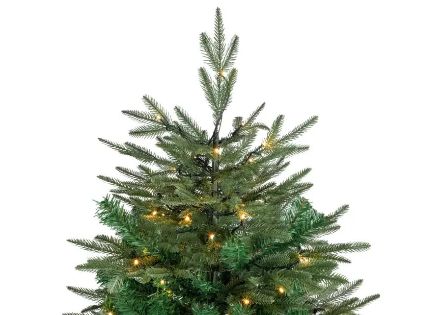 6.5' Pre-Lit Hudson Fir Artificial Christmas Tree  Warm White LED Lights