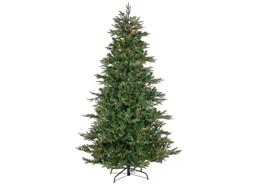 6.5' Pre-Lit Hudson Fir Artificial Christmas Tree  Warm White LED Lights