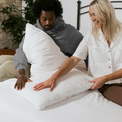 2 Pack Medium Firmness Down Alternative Bed Pillow