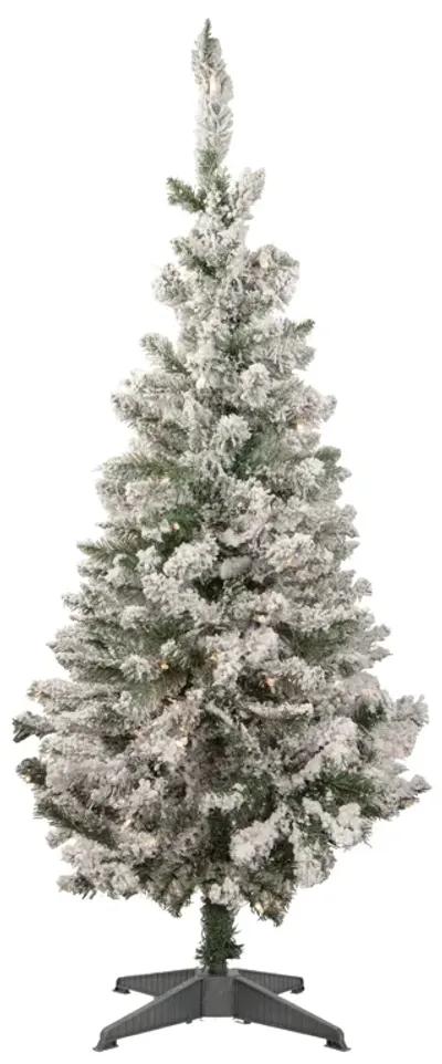 4' Pre-Lit Flocked Slim Pine Artificial Christmas Tree  Clear Lights