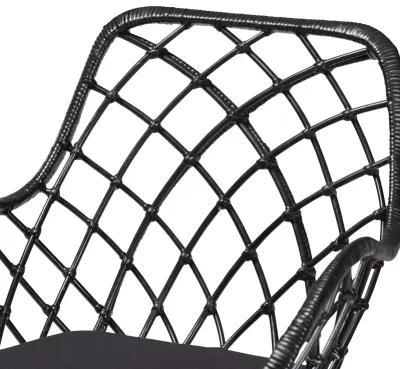 Bali & Pari Ballerina Modern Black Finished Rattan and Metal 2-Piece Dining Chair Set