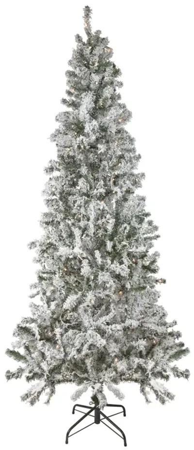 6' Pre-Lit Slim Flocked Pine Artificial Christmas Tree  Clear Lights