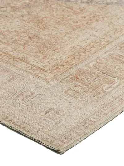 Kars KA11 Biscotti 3' x 5' Rug