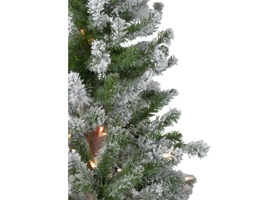 4ft Pre-Lit Flocked Alpine Artificial Christmas Tree  Clear Lights