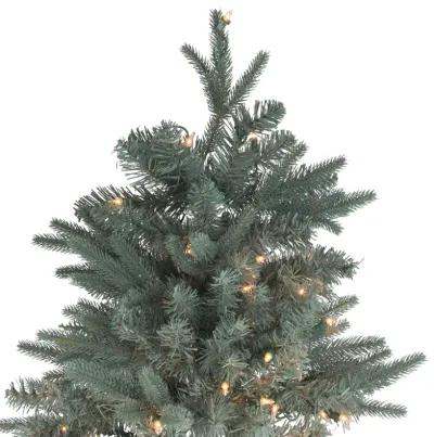 12' Pre-Lit Slim Washington Frasier Fir Artificial Christmas Tree - Clear Lights