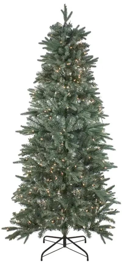 12' Pre-Lit Slim Washington Frasier Fir Artificial Christmas Tree - Clear Lights