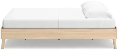 Cabinella Queen Platform Bed