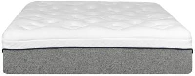 Primo International Stratus Ultra 13 in. Medium Gel Foam Bed in a Box Mattress, California King