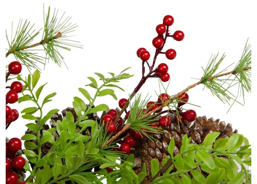 Frosted Pine Cones and Berries Artificial Christmas Wreath - 18-Inch  Unlit