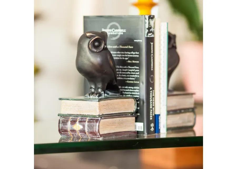 Owl on Books Bookend Set