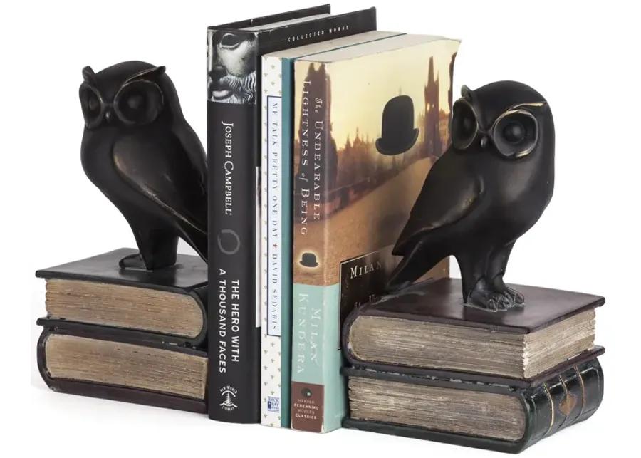 Owl on Books Bookend Set