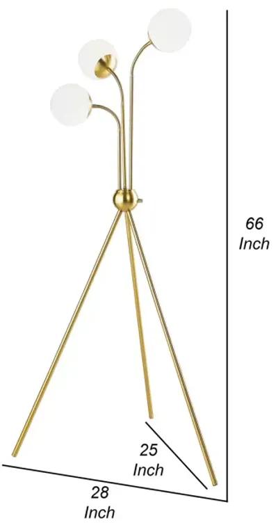 Jyan Accent Floor Lamp, 3 Classic Globe Lights, Tripod Gold Metal Base - Benzara