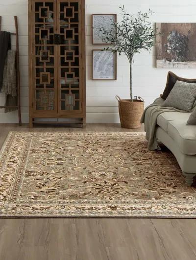 Euphoria Newbridge Willow gray 8' ROUND Rug